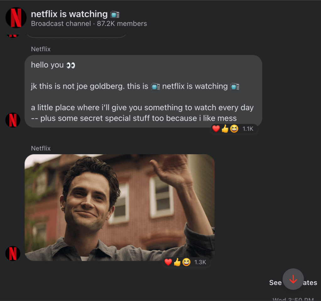Screen grab of Netflix's broadcast channel on Facebook and Messengers. They introduced themselves and used a gif of Joe Goldberg from the show You, waving to the followers in the channel.